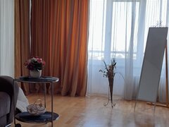 Piata Alba Iulia, Burebista